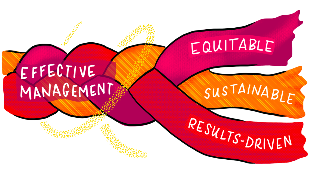 Effective management definition: equitable, sustainable, results-driven. Image of braid, showing three dimensions are intertwined.
