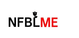 Acronym for the National Fellowship for Black and Latino Male Educators, N.F.B.L.M.E. 